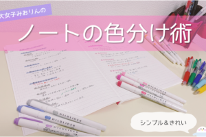 東大生 受験生時代の筆箱の中身 高校時代の文房具を公開 東大みおりんのわーいわーい喫茶